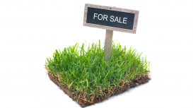 Destaca las ventajas de tu terreno para atraer a compradores potenciales interesados