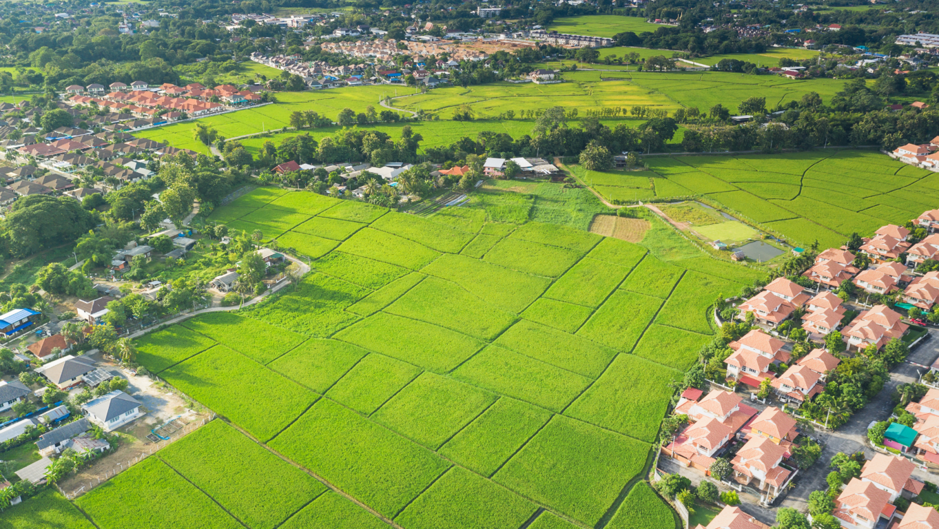 Convierte la venta de tu terreno en una experiencia gratificante con estos consejos