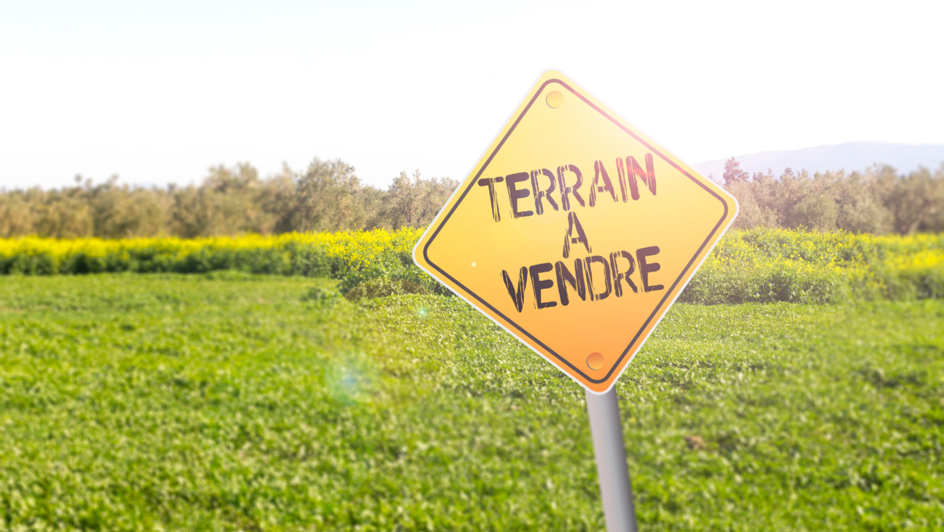 Aumenta la visibilidad de tu terreno en el mercado con estrategias de marketing
